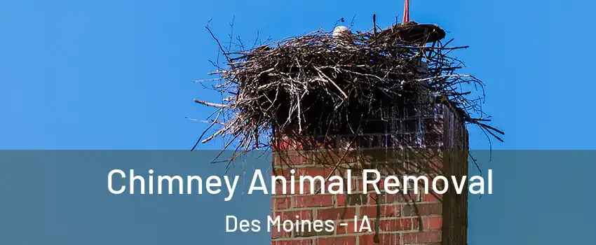  Chimney Animal Removal Des Moines - IA