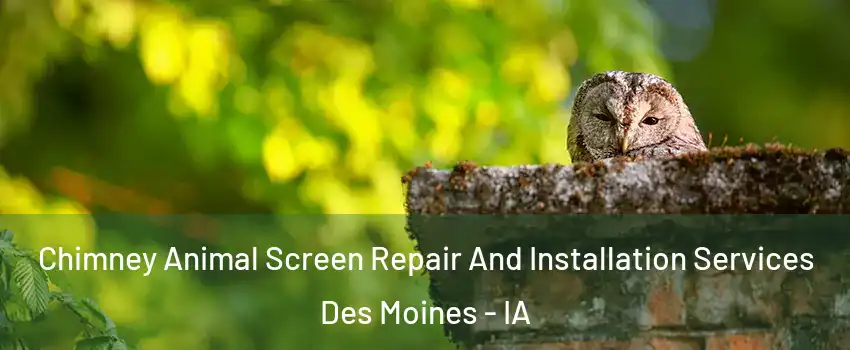  Chimney Animal Screen Repair And Installation Services Des Moines - IA