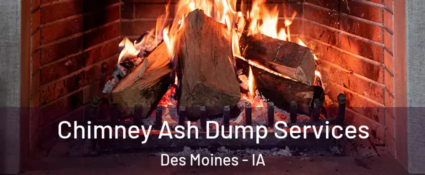  Chimney Ash Dump Services Des Moines - IA