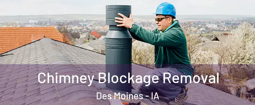  Chimney Blockage Removal Des Moines - IA