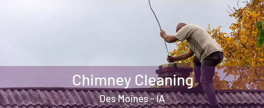  Chimney Cleaning Des Moines - IA