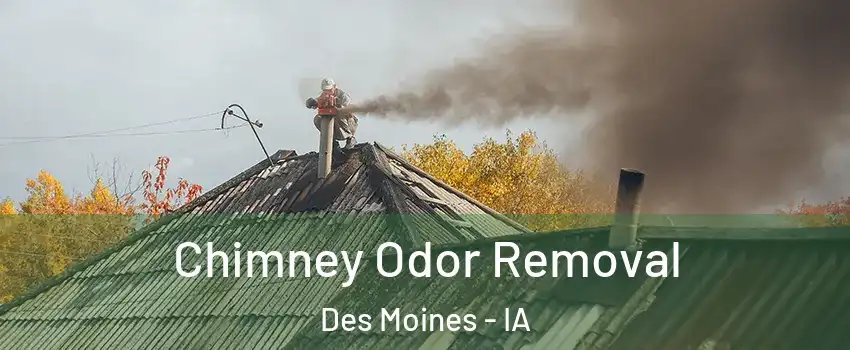  Chimney Odor Removal Des Moines - IA