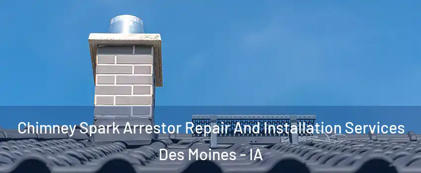 Chimney Spark Arrestor Repair And Installation Services Des Moines - IA