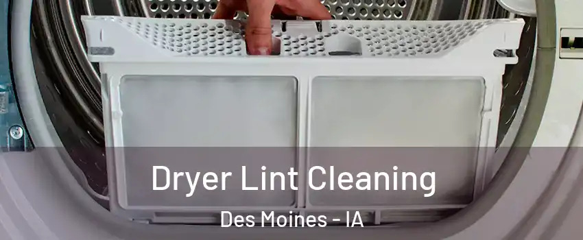  Dryer Lint Cleaning Des Moines - IA