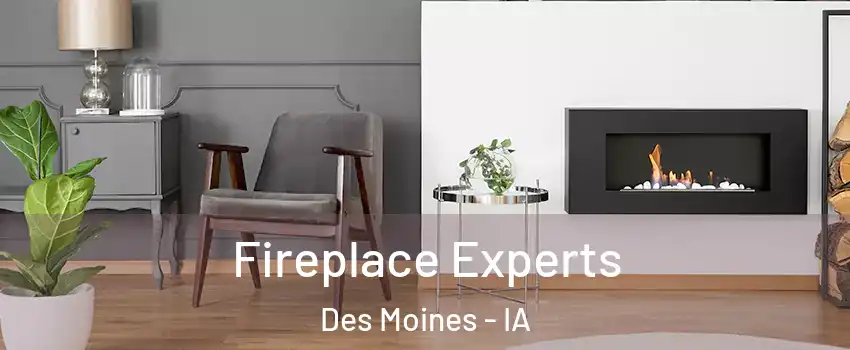  Fireplace Experts Des Moines - IA