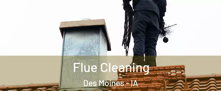  Flue Cleaning Des Moines - IA
