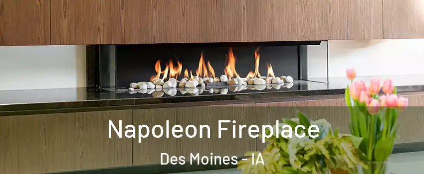  Napoleon Fireplace Des Moines - IA