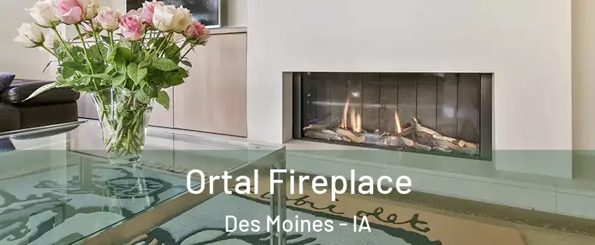  Ortal Fireplace Des Moines - IA